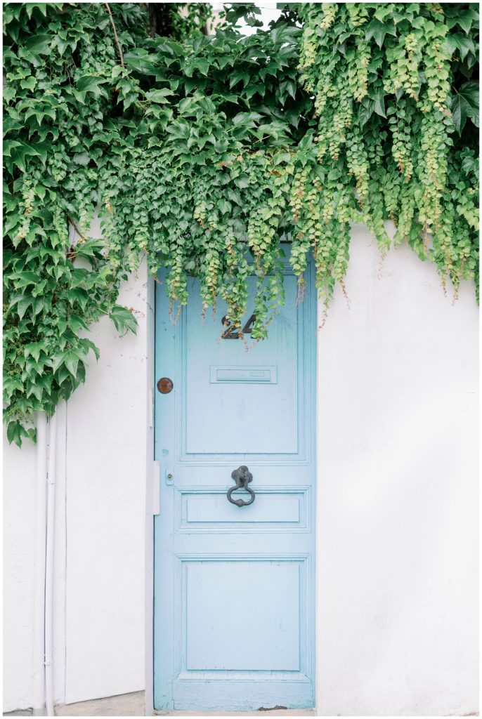 French Door, Blue Doors of Paris
