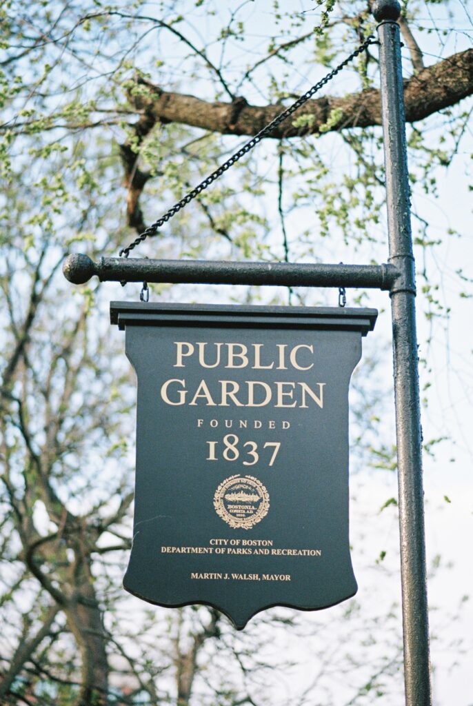 Boston Public Gardens Engagement Session
